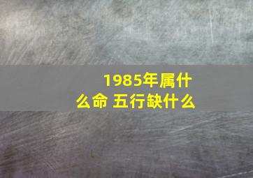 1985年属什么命 五行缺什么